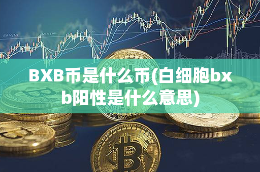 BXB币是什么币(白细胞bxb阳性是什么意思)