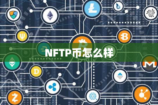 NFTP币怎么样