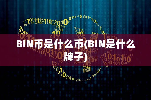 BIN币是什么币(BIN是什么牌子)