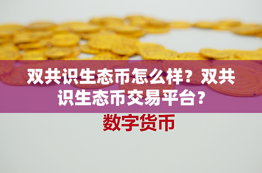 双共识生态币怎么样？双共识生态币交易平台？