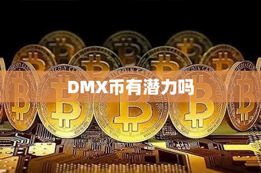 DMX币有潜力吗