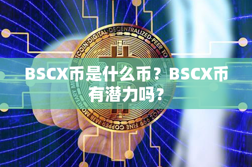 BSCX币是什么币？BSCX币有潜力吗？