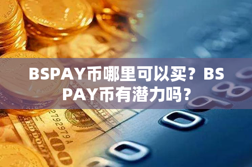 BSPAY币哪里可以买？BSPAY币有潜力吗？