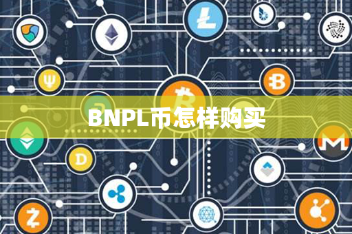 BNPL币怎样购买