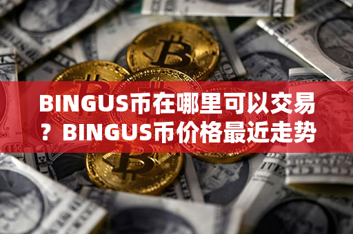 BINGUS币在哪里可以交易？BINGUS币价格最近走势图分析？