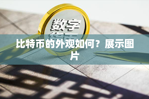 比特币的外观如何？展示图片