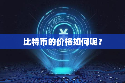 比特币的价格如何呢？