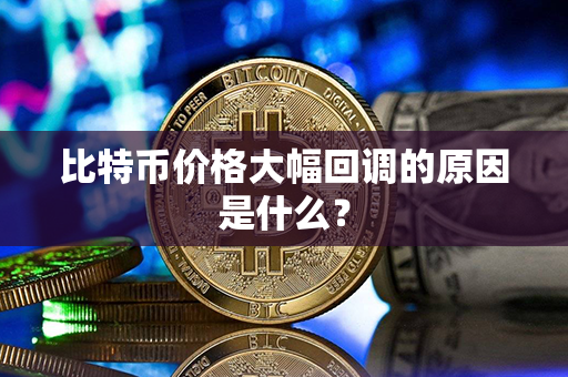 比特币价格大幅回调的原因是什么？