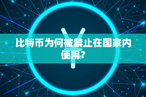 比特币为何被禁止在国家内使用？