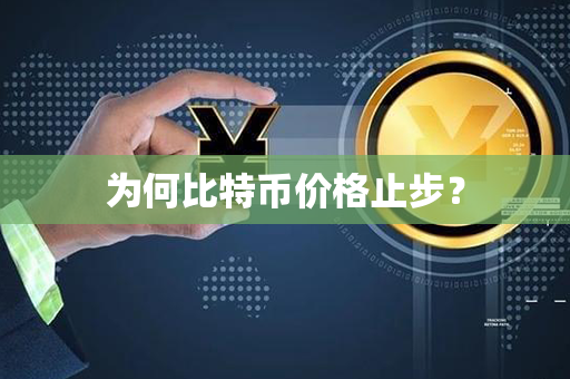 为何比特币价格止步？