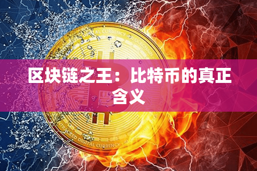 区块链之王：比特币的真正含义