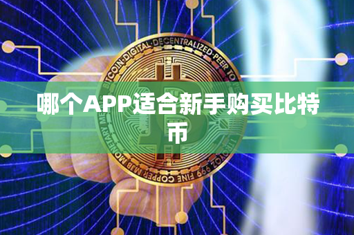 哪个APP适合新手购买比特币