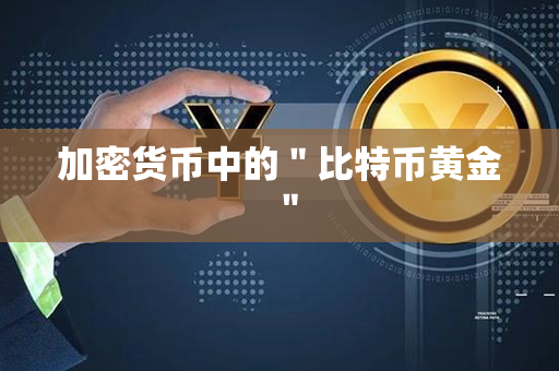 加密货币中的＂比特币黄金＂