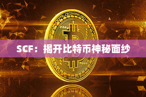 SCF：揭开比特币神秘面纱