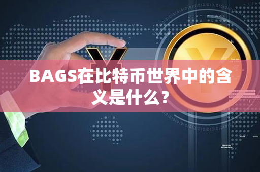 BAGS在比特币世界中的含义是什么？